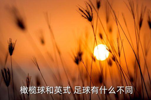 橄欖球和足球的區(qū)別,美國足球和英國橄欖球的區(qū)別