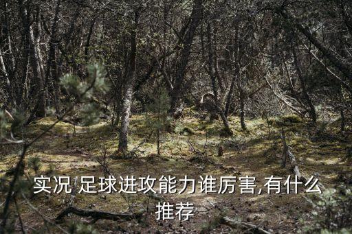  實況 足球進攻能力誰厲害,有什么推薦