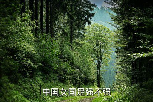 大秦之水足球隊(duì)10月27日,陜西大秦之水足球隊(duì)