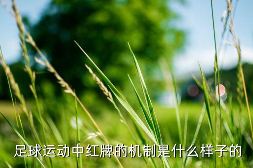  足球運動中紅牌的機制是什么樣子的