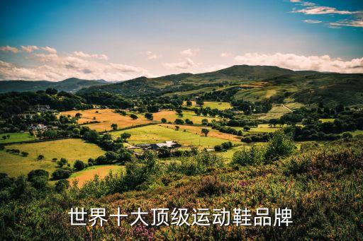 所有足球鞋的牌子.,小學(xué)生足球鞋什么牌子質(zhì)量好