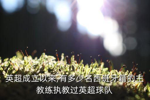 英超成立以來(lái),有多少名西班牙籍的主教練執(zhí)教過(guò)英超球隊(duì)