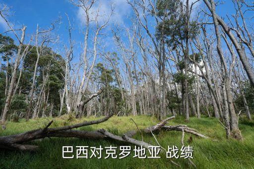 北控足球比賽最新戰(zhàn)績,巴西與阿根廷足球比賽戰(zhàn)績