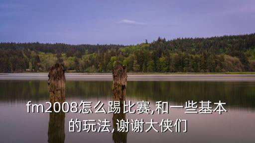 fm2008怎么踢比賽,和一些基本的玩法,謝謝大俠們