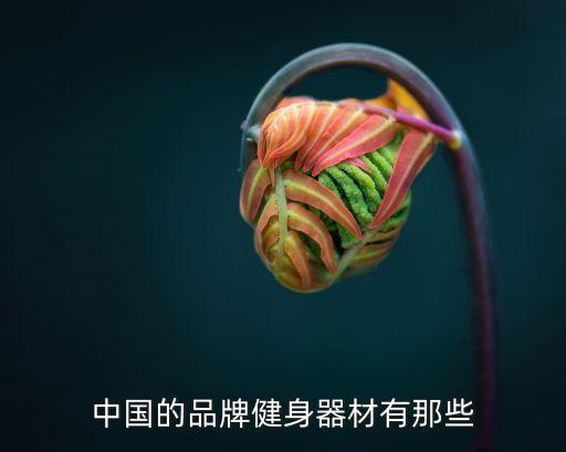中國(guó)的品牌健身器材有那些