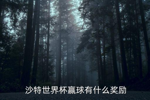  沙特世界杯贏球有什么獎勵