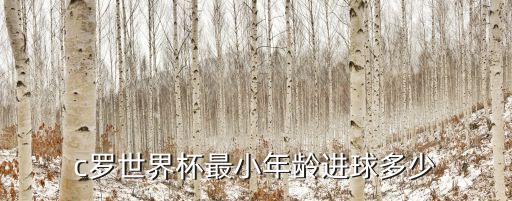 2017葡萄牙足球預(yù)選賽