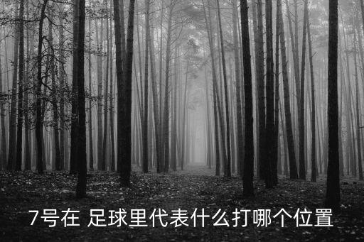 7號在 足球里代表什么打哪個位置