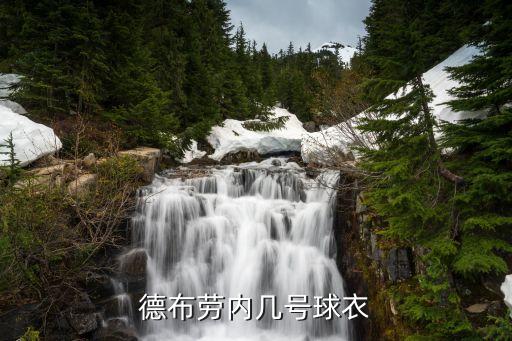 德布勞內幾號球衣