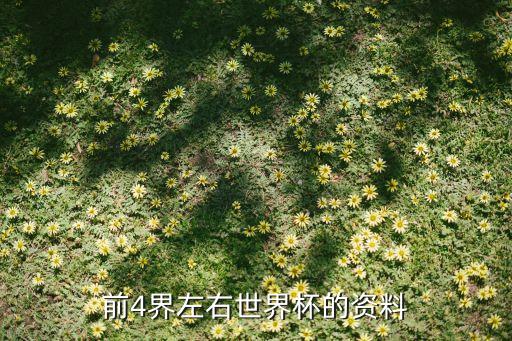 前4界左右世界杯的資料