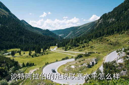  沙特阿拉伯的足球聯(lián)賽水平怎么樣