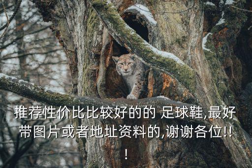 魯尼穿過的足球鞋,魯尼t(yī)90足球鞋