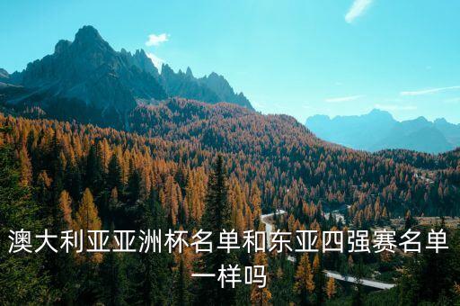 競(jìng)彩足球 阿德萊德vs墨勝利