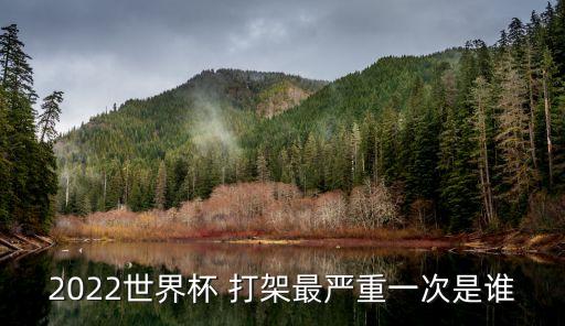 2022世界杯 打架最嚴(yán)重一次是誰(shuí)