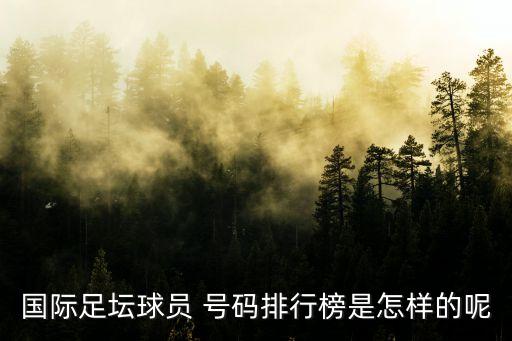 國際足壇球員 號碼排行榜是怎樣的呢