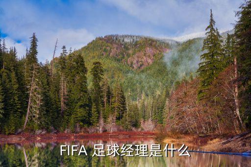 fifa 足球經(jīng)歷