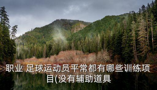 職業(yè) 足球運動員平常都有哪些訓練項目(沒有輔助道具