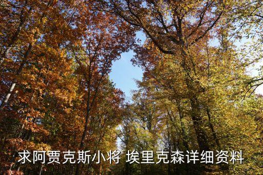 求阿賈克斯小將 埃里克森詳細(xì)資料