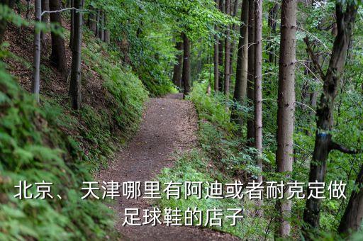 北京、 天津哪里有阿迪或者耐克定做 足球鞋的店子