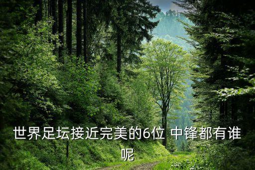 世界足壇接近完美的6位 中鋒都有誰呢