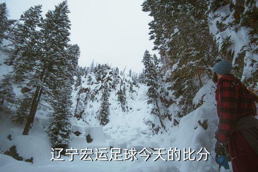 遼寧宏遠(yuǎn)足球隊(duì)主場在哪兒