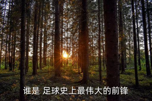 誰是 足球史上最偉大的前鋒