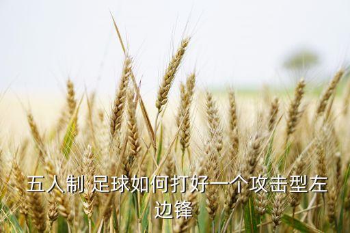  五人制 足球如何打好一個(gè)攻擊型左邊鋒