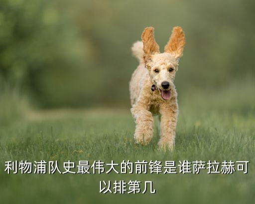 egypt足球隊成員,克羅地亞足球隊成員