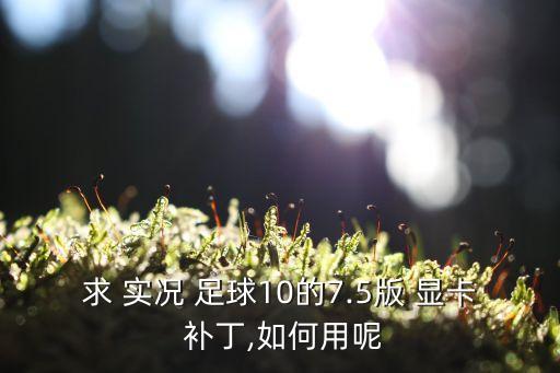 實況足球2014雙顯卡補丁