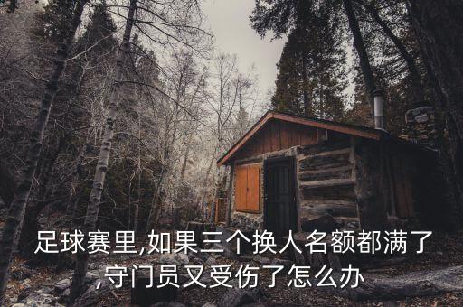 足球踢傷門將,巴西足球門將槍殺