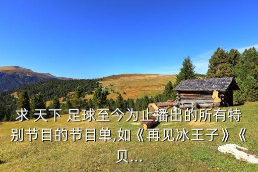 求 天下 足球至今為止播出的所有特別節(jié)目的節(jié)目單,如《再見冰王子》《貝...