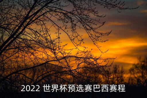 2022 世界杯預(yù)選賽巴西賽程