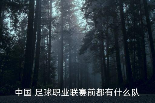 中國 足球職業(yè)聯(lián)賽前都有什么隊(duì)