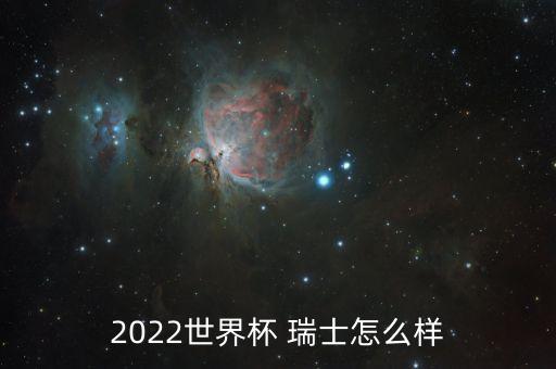 2022世界杯 瑞士怎么樣