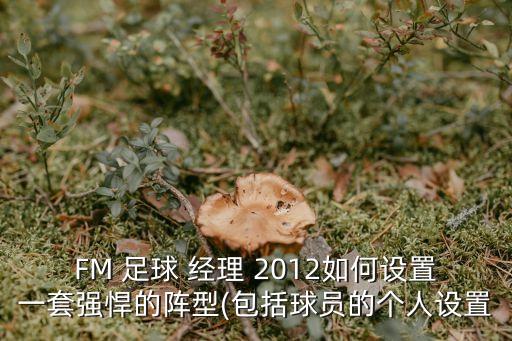 FM 足球 經(jīng)理 2012如何設置一套強悍的陣型(包括球員的個(gè)人設置