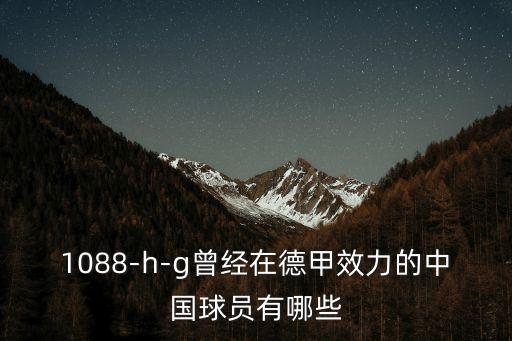 1088-h-g曾經(jīng)在德甲效力的中國球員有哪些