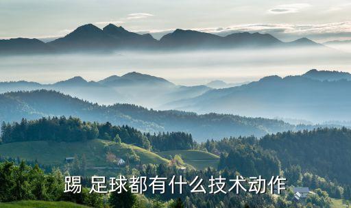 足球接球的方式有,足球中常見的接球方式