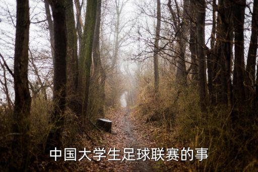 中國大學(xué)生足球聯(lián)賽的事