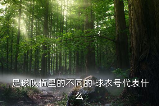  足球隊(duì)伍里的不同的 球衣號代表什么