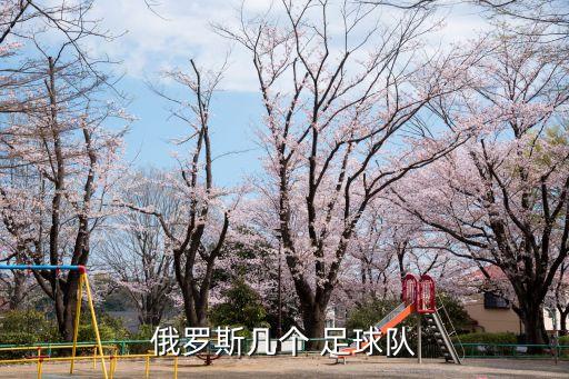 俄羅斯幾個(gè) 足球隊(duì)