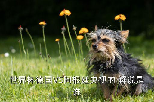 黃健翔解說足球賽,2022黃健翔現(xiàn)在在哪里解說
