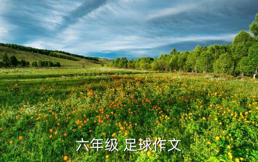 六年級(jí) 足球作文