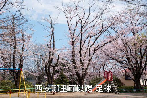 望京南湖公園足球場(chǎng)有室內足球館