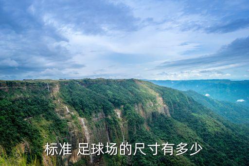 標(biāo)準(zhǔn) 足球場(chǎng)的尺寸有多少