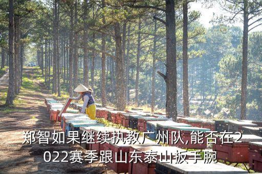  鄭智如果繼續(xù)執(zhí)教廣州隊,能否在2022賽季跟山東泰山扳手腕