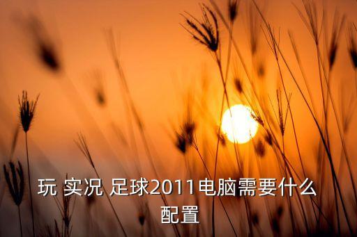 玩 實況 足球2011電腦需要什么 配置