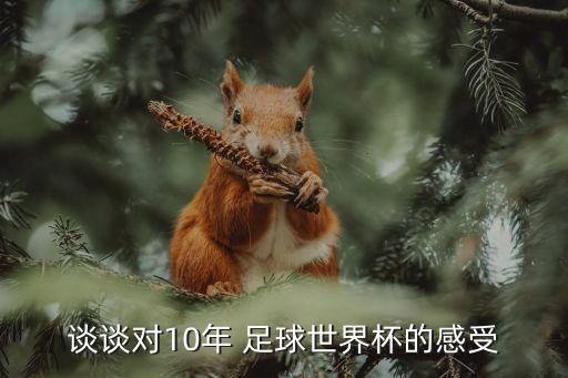 足球奪冠感言,足球收獲和感言