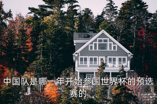 中國隊(duì)是哪一年開始參國世界杯的預(yù)選賽的