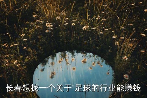 長(zhǎng)春想找一個(gè)關(guān)于 足球的行業(yè)能賺錢