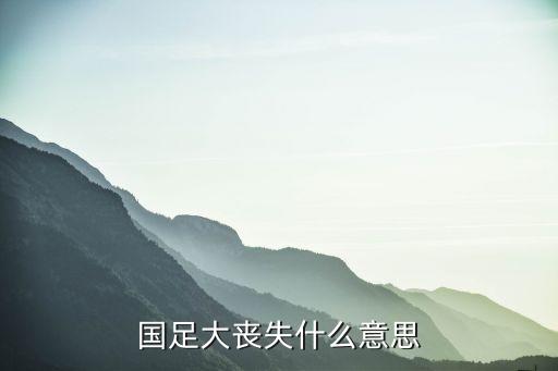 中國足球夢(mèng) 米盧,米盧對(duì)中國足球的評(píng)價(jià)